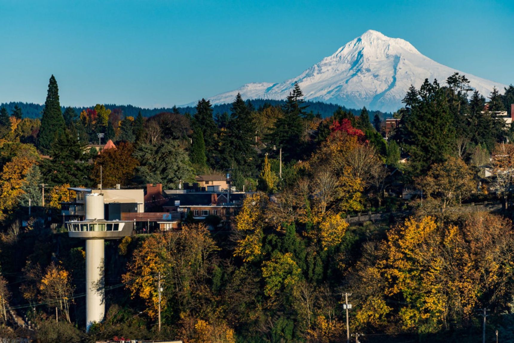 Oregon State University est une des meilleures universités américaines représentées par Study Experience en Belgique et en France.