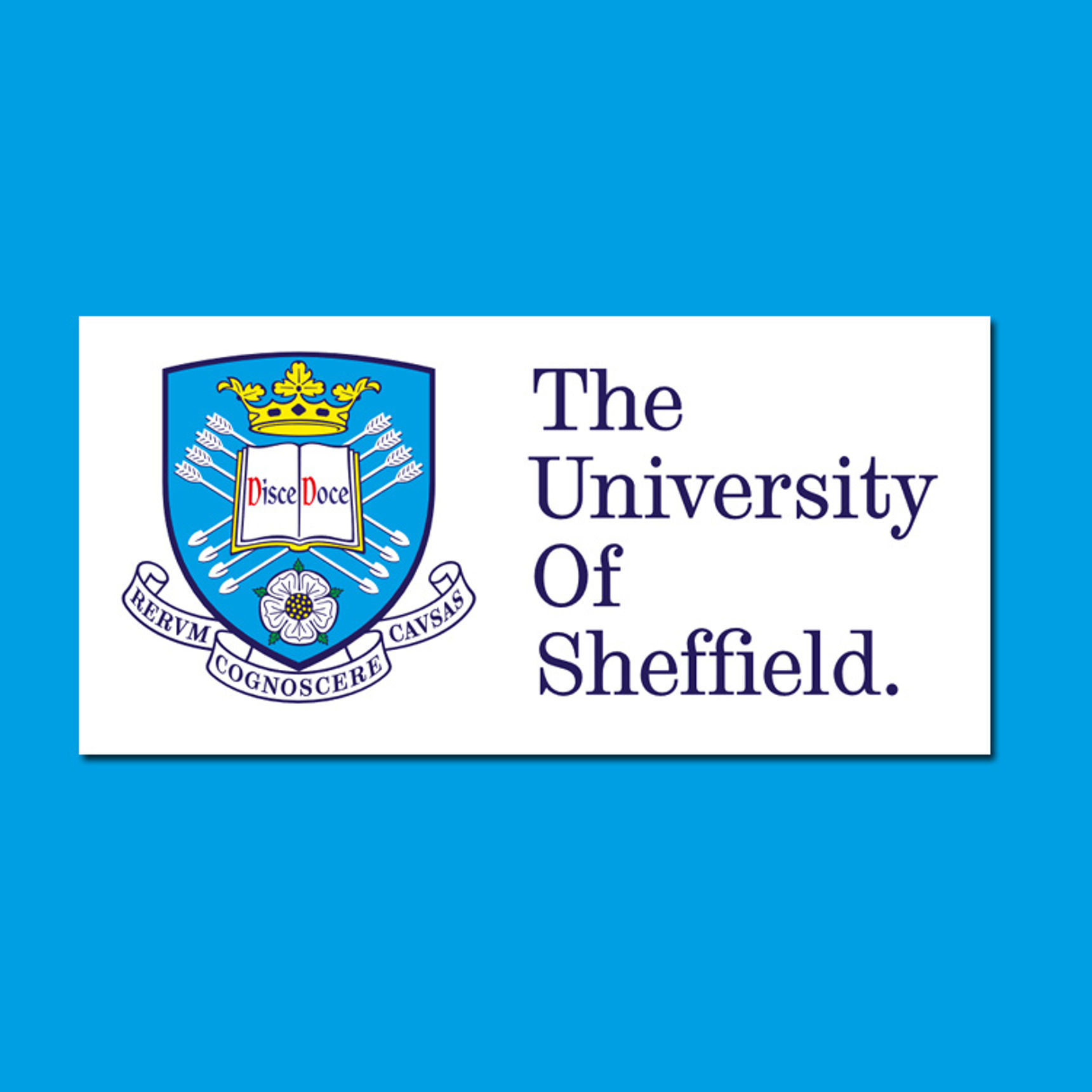 The University of Sheffield