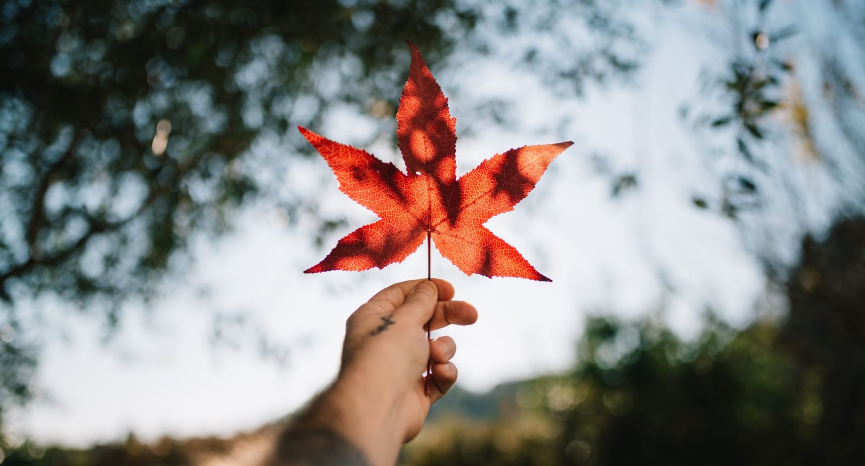 studeren in Canada is een fantastische educatieve ervaring