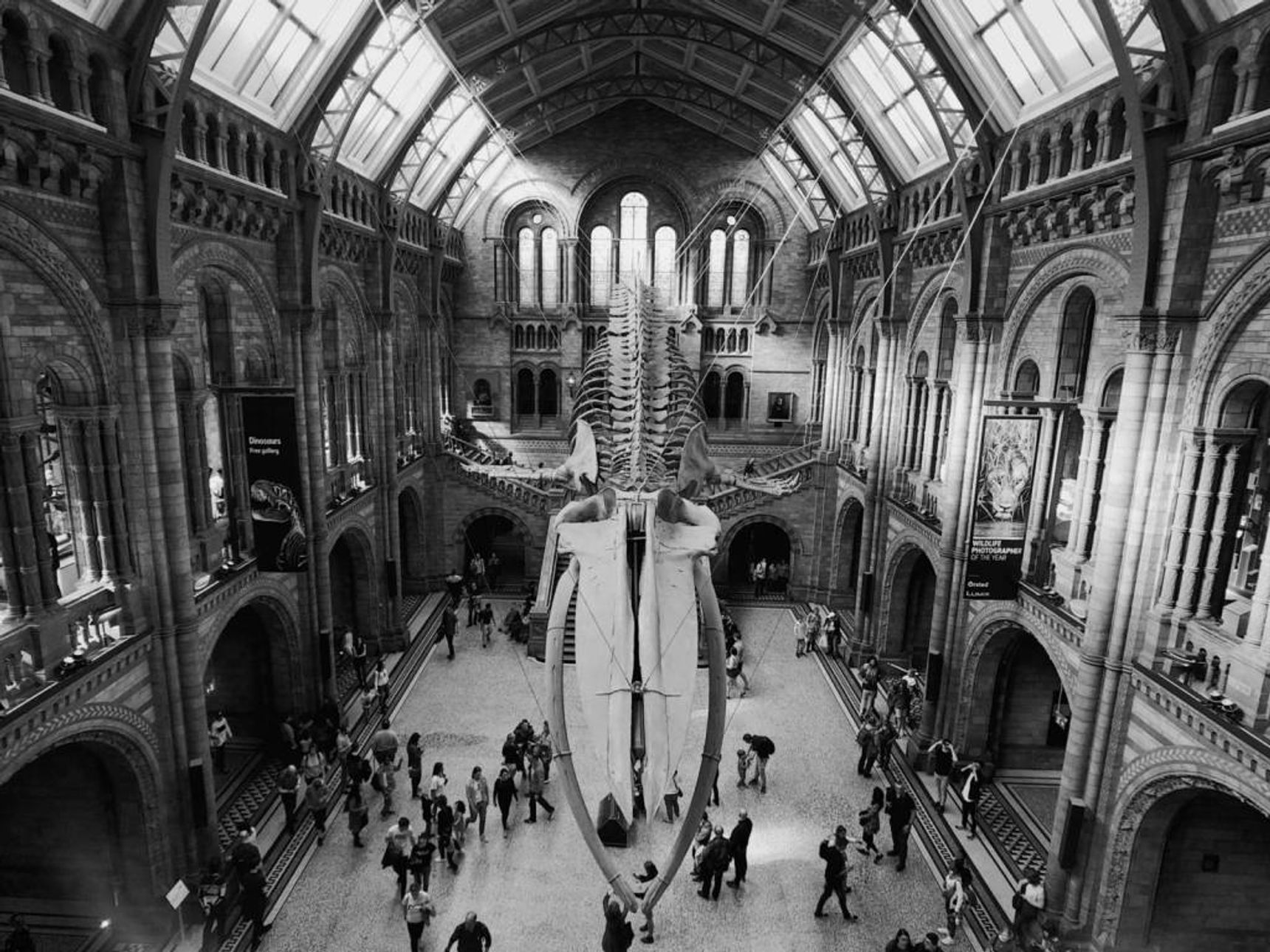 greyscale photo of people walking inside building