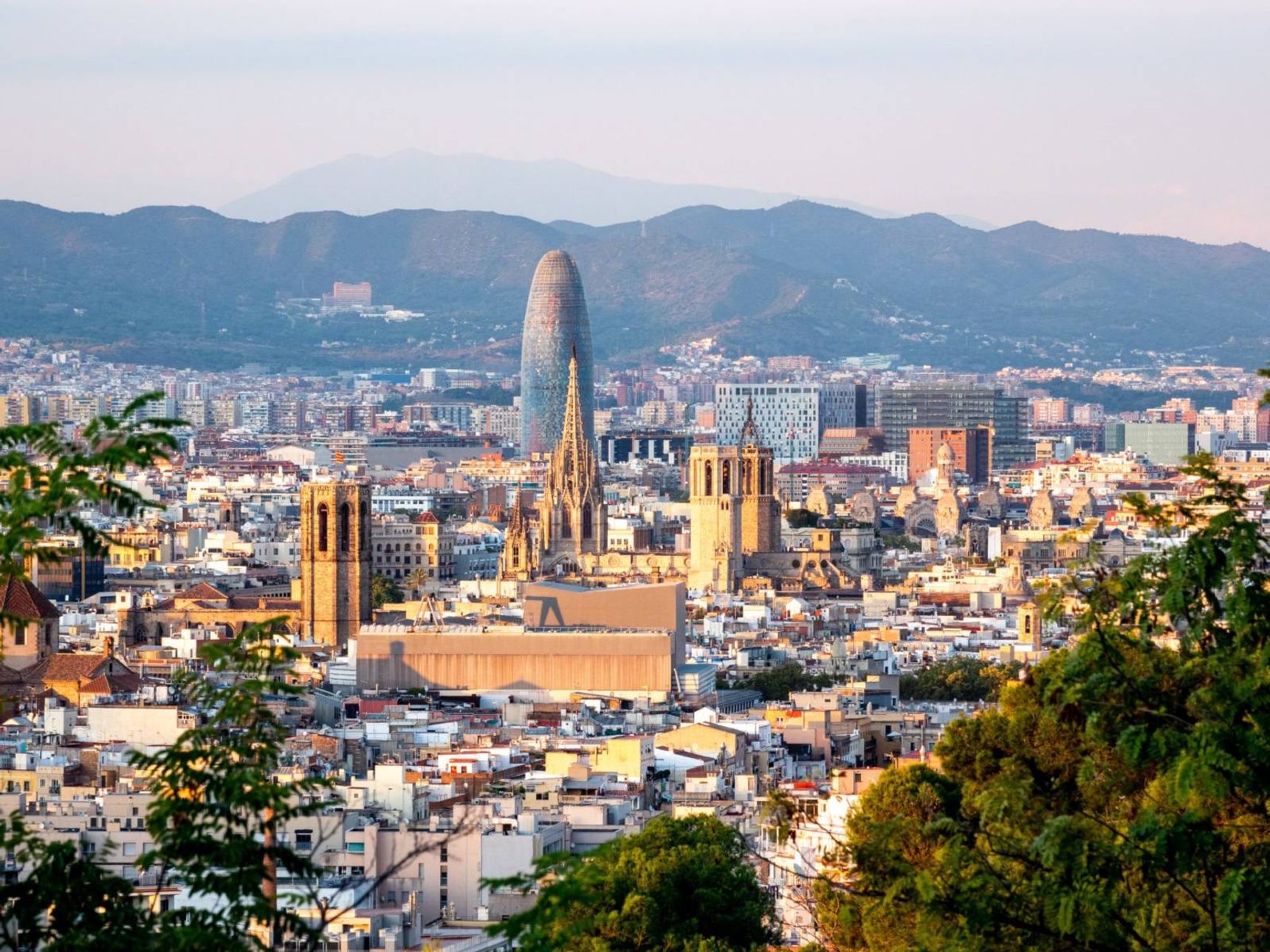 aerial view of city buildings during daytime