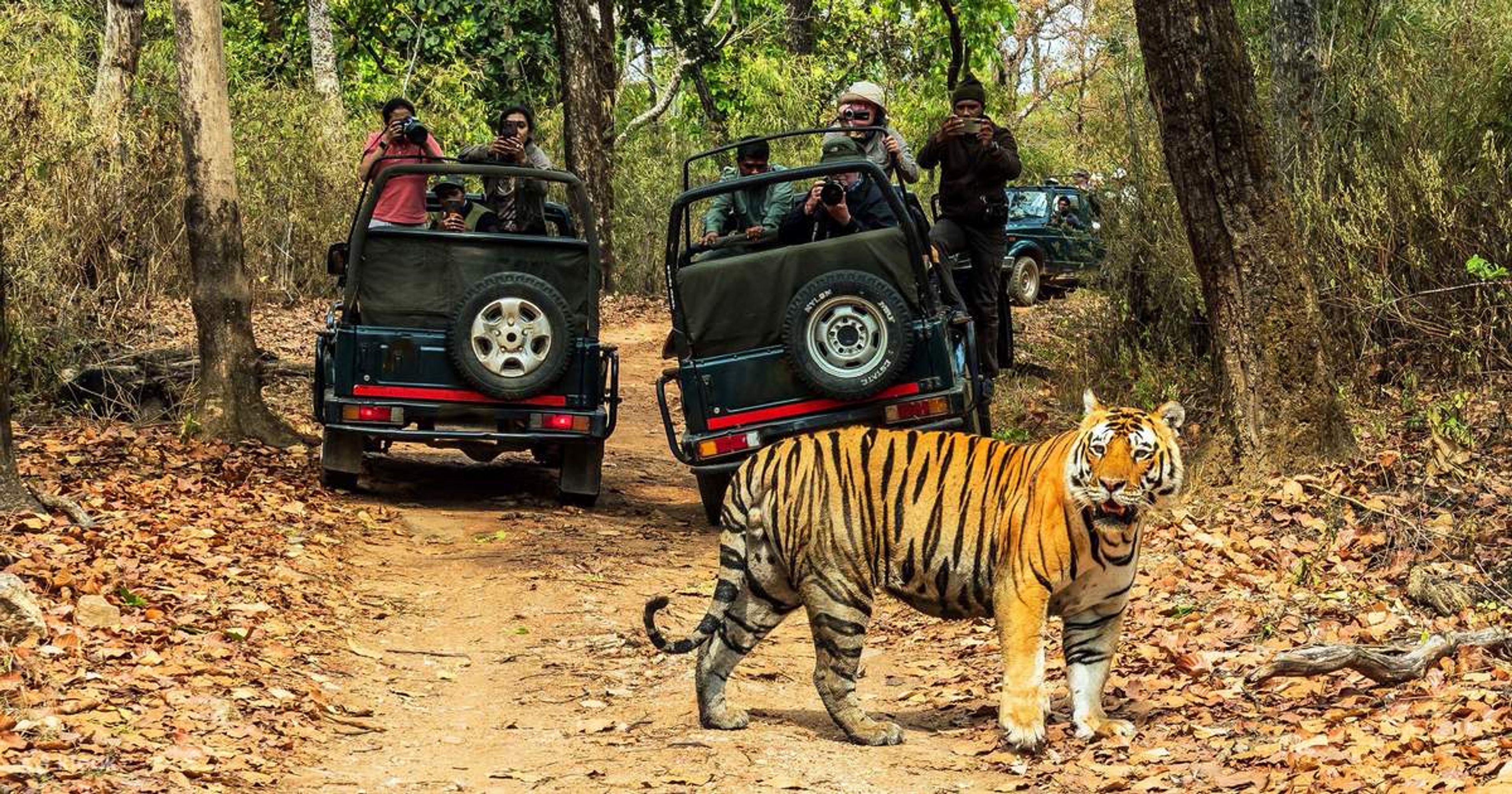Chitwan