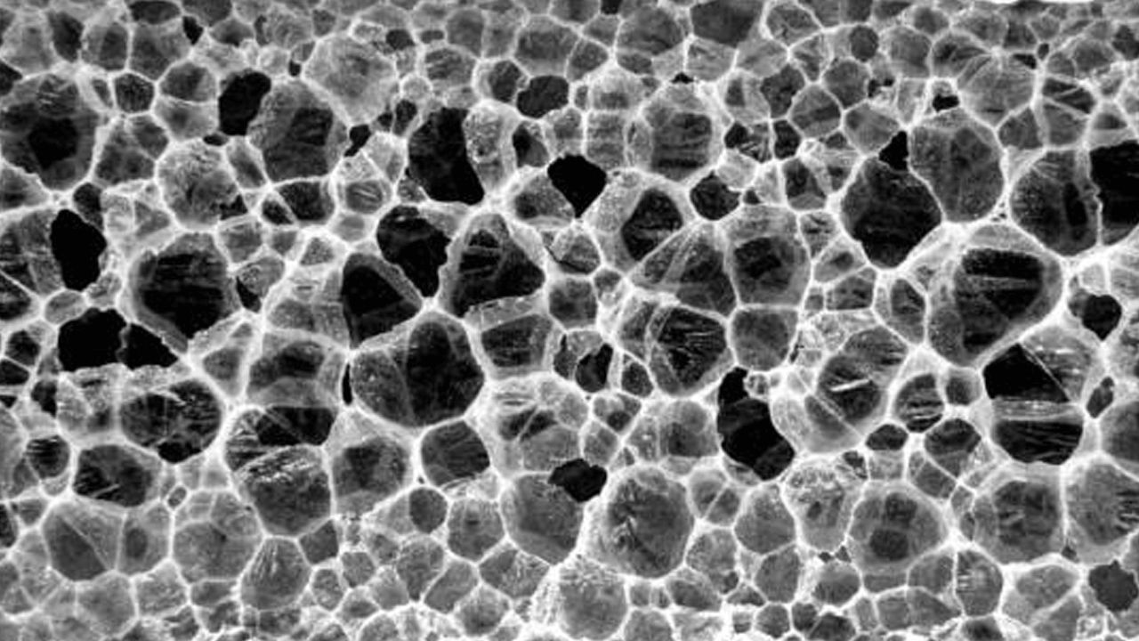 Microscopic view of Styrofoam structure, highlighting its porous nature for effective bonding