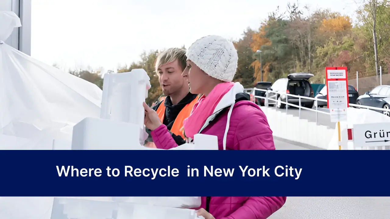 Close-up of a recycling bin in New York City for styrofoam, plastic bags, and packing peanuts with a green urban backdrop.