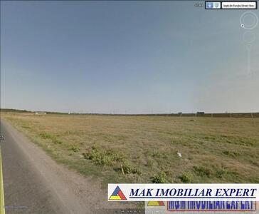 4256_1_(1).jpeg