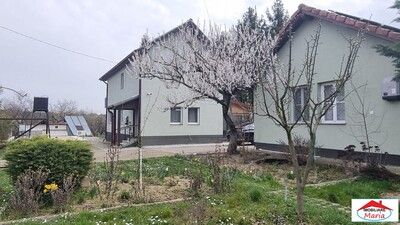 11_212.jpg