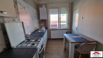 1_294.jpg