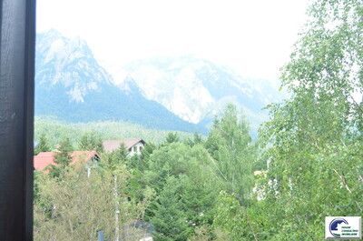 DSC_2650.JPG