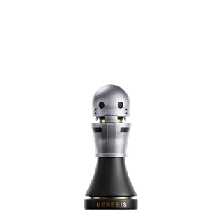 Genesis Steel Rough Pawn