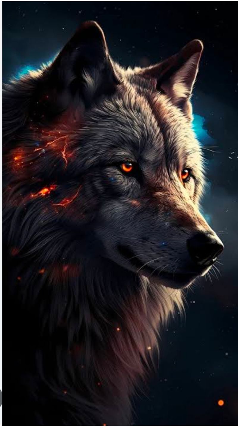 WILD FOX