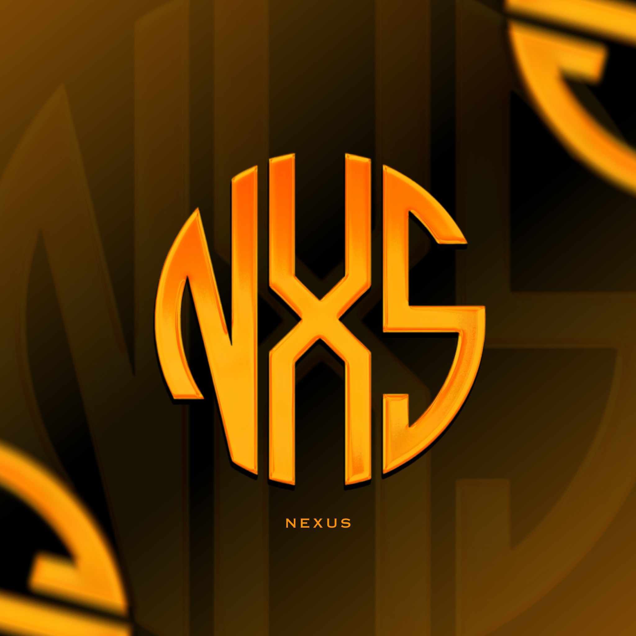 NVR NXS