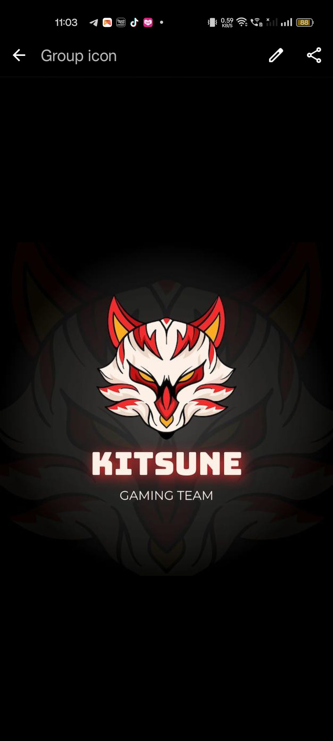 Kitsune v1