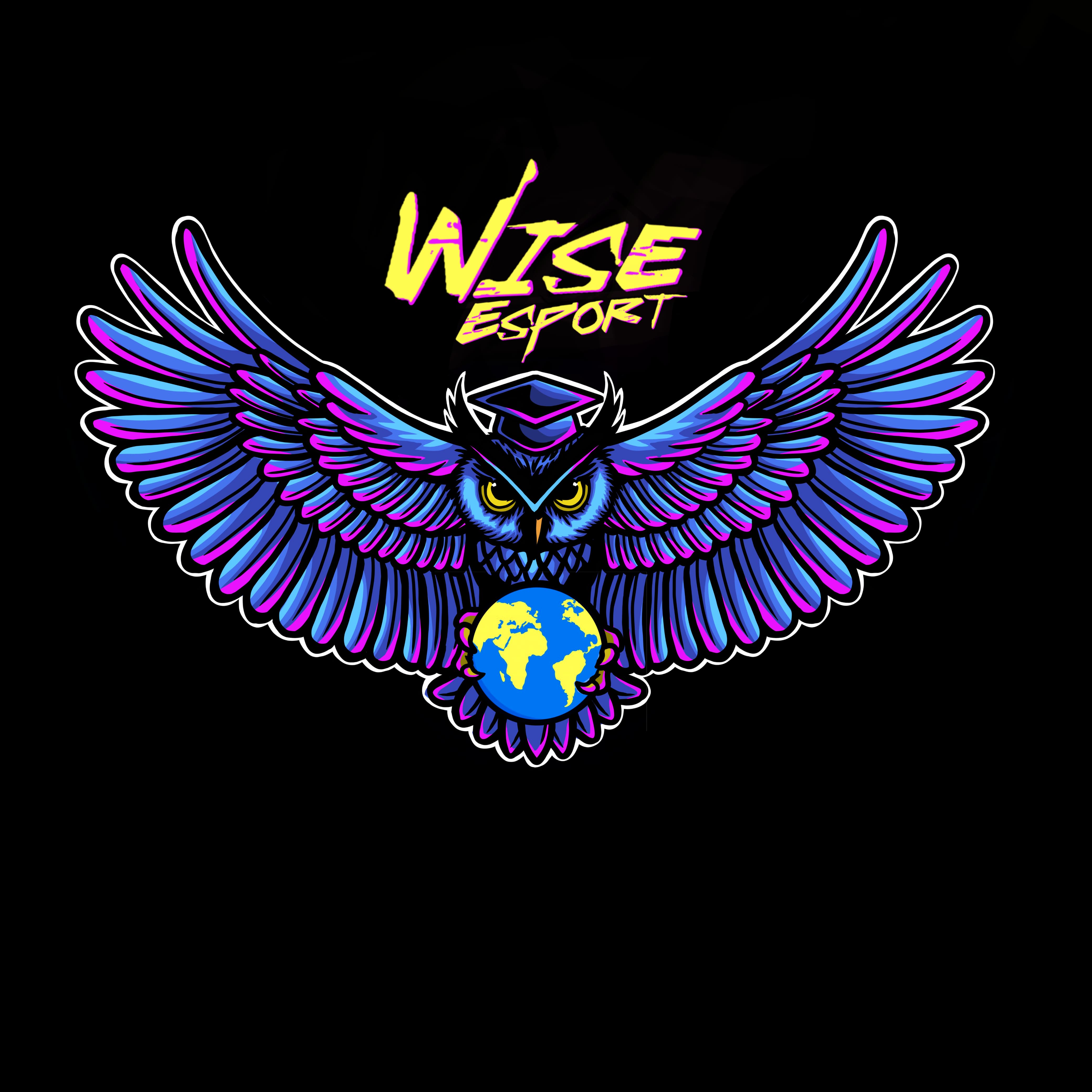 WISE X BERSINAR