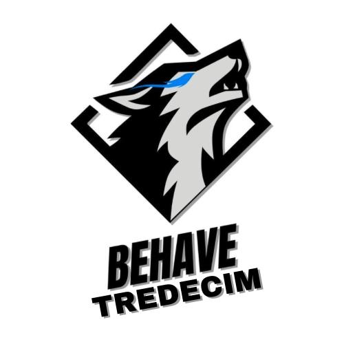 TEAM BEHAVE
