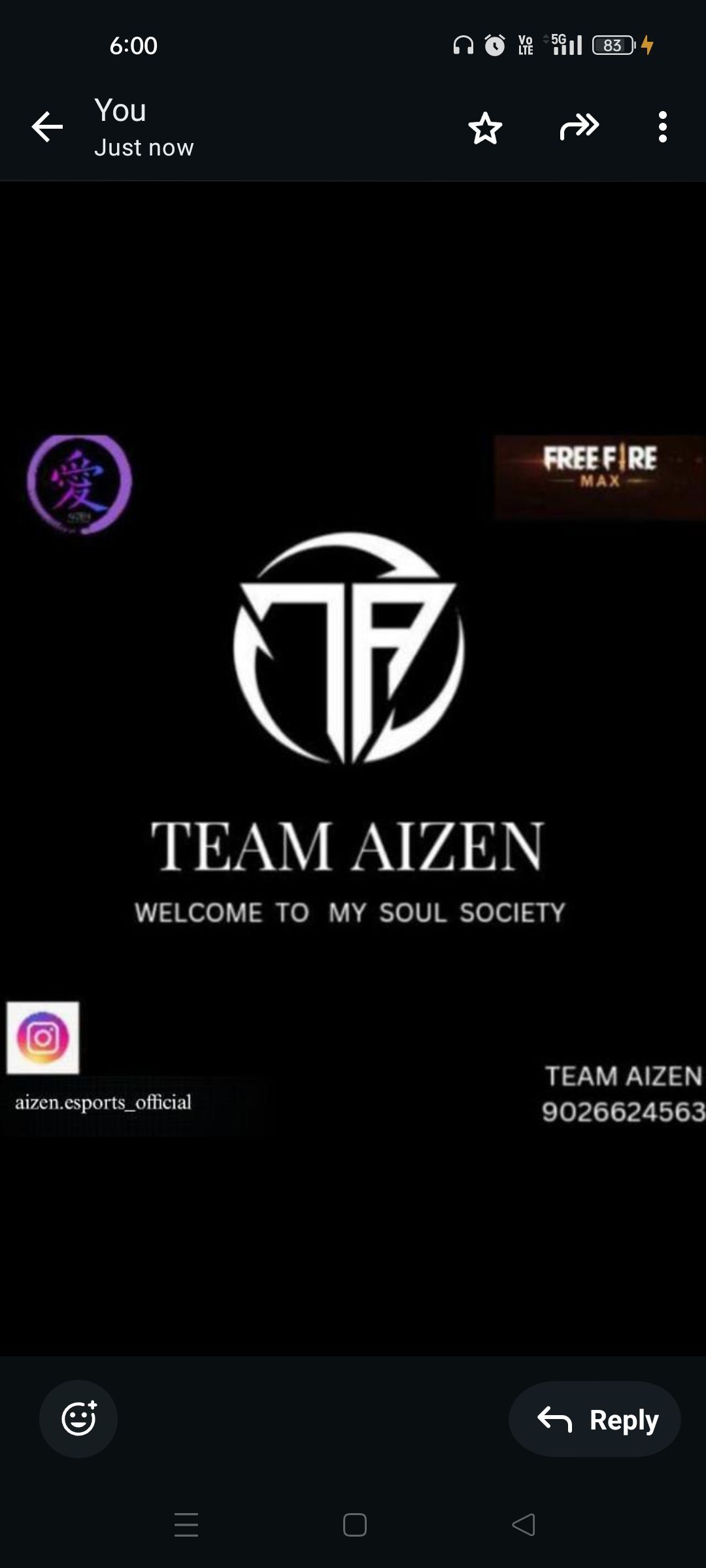 TEAM AIZEN ESPORTS 
