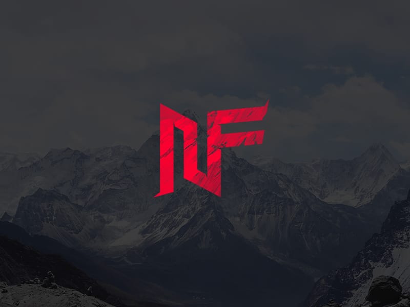 No Fear eSports 