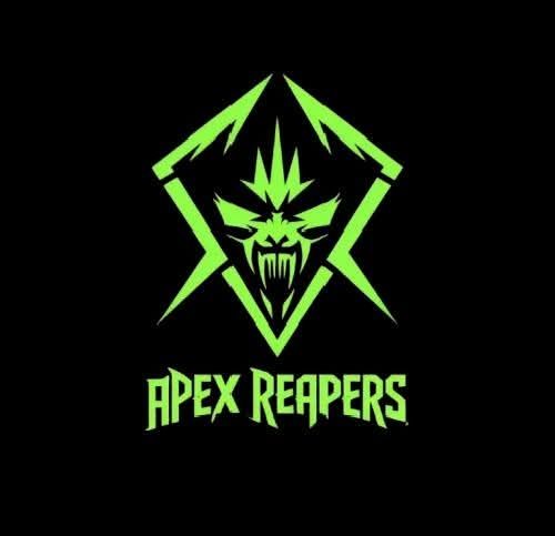 APEX REPEARS