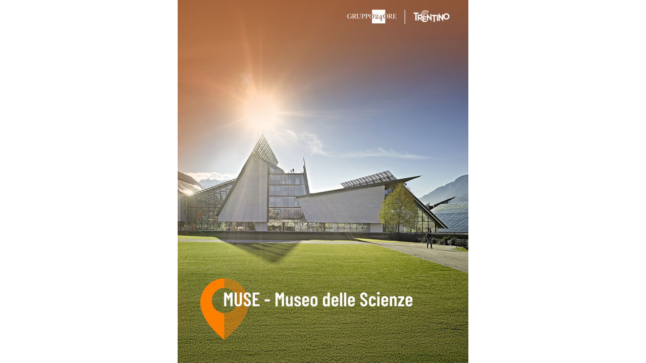 Festival dell\'Economia - Attività per famiglie al Fuori Festival - MUSE