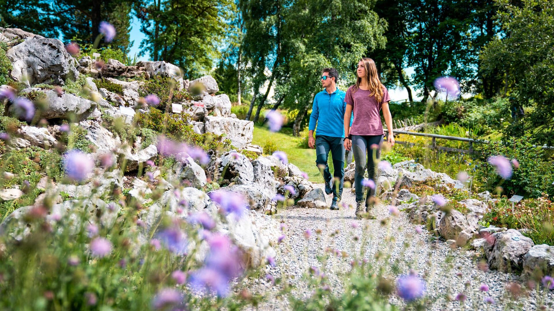 Il Giardino Botanico Alpino