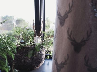 4F18E104-D0BE-4B0E-86A2-4DA865300B74