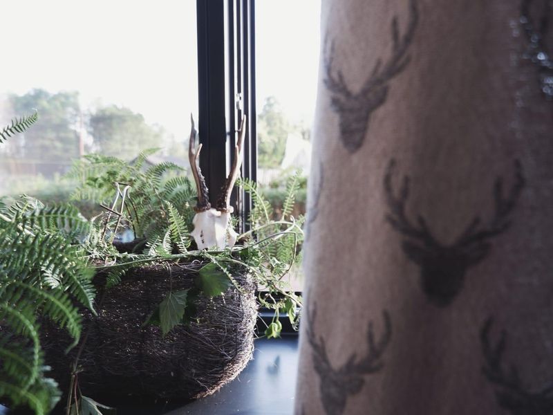 4F18E104-D0BE-4B0E-86A2-4DA865300B74