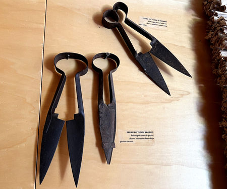 Casa Zapata Museum Centre