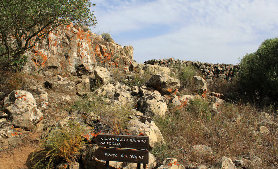 The archaeological and conservation area of Sa Fogaia