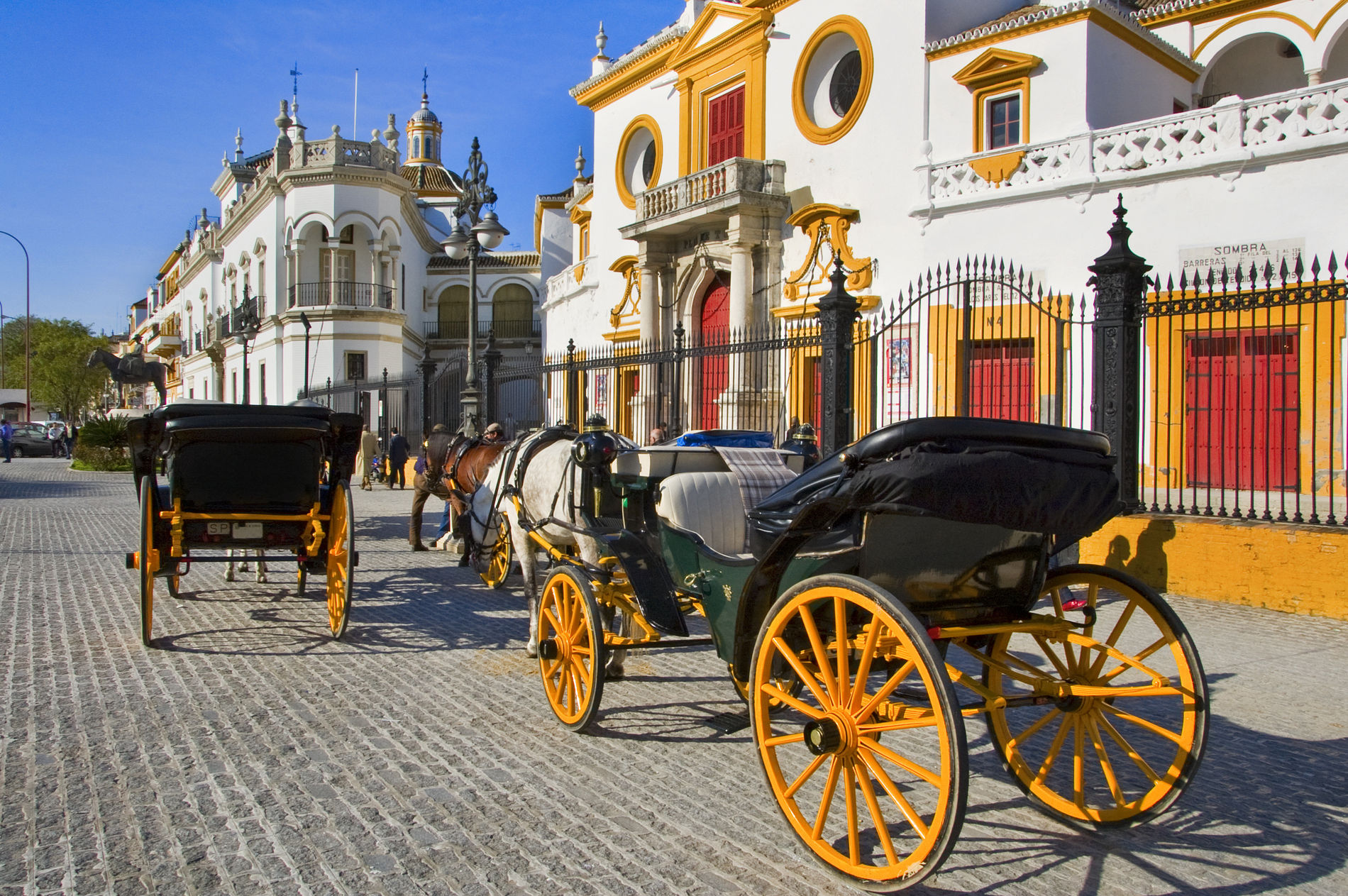 AdobeStock_31503484.jpeg