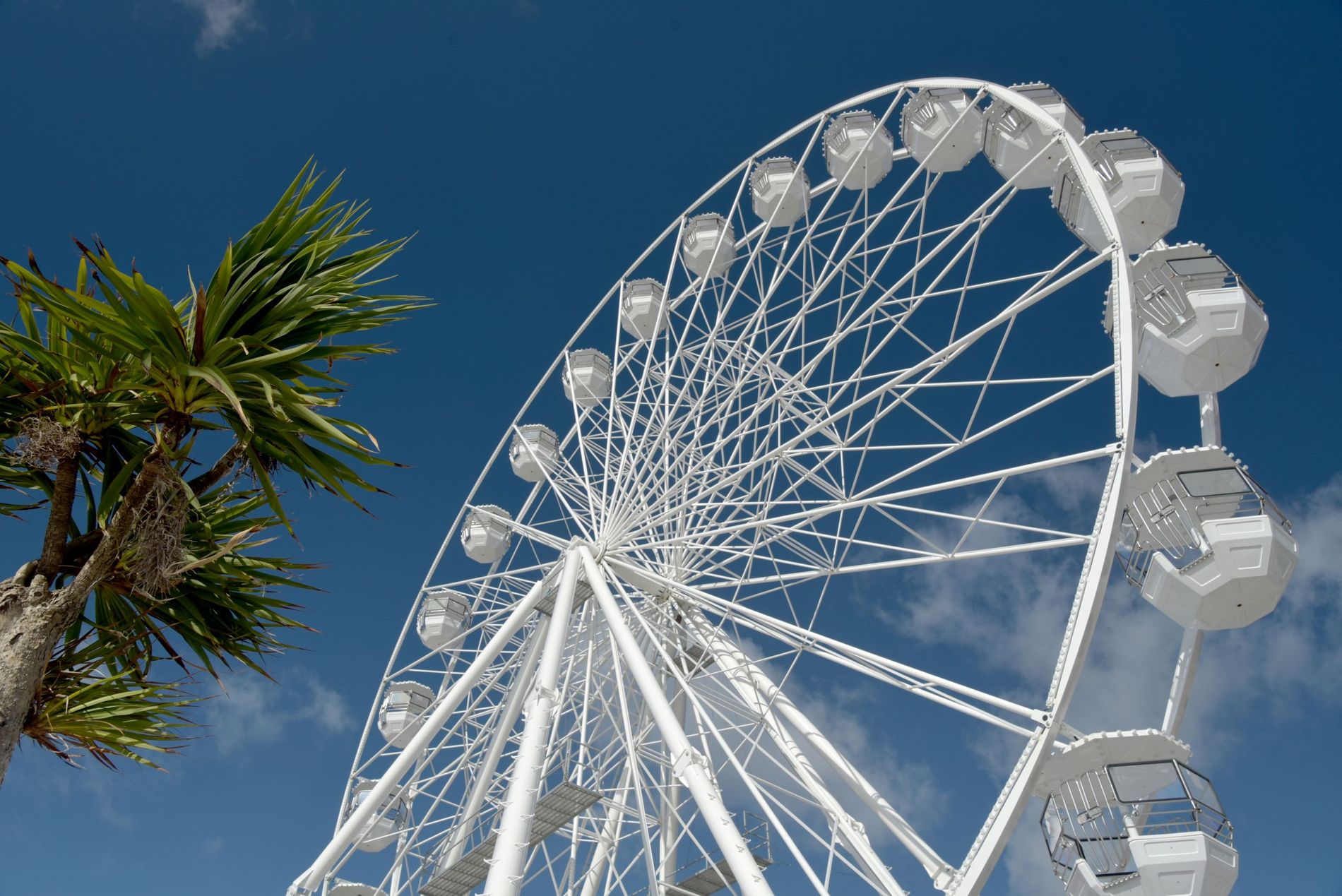 AdobeStock_249645365.jpeg