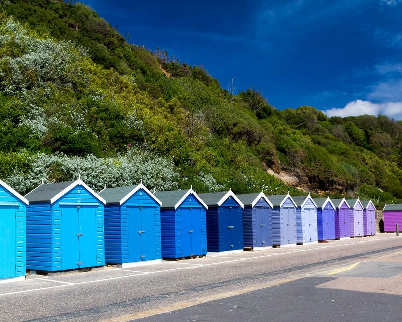 AdobeStock_67638917.jpeg