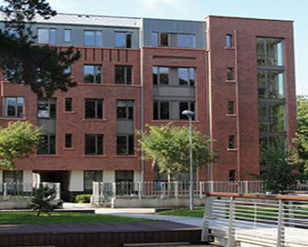 vacanza-studio-irlanda-dublino-zainetto-verde-trinity-hall-campus-edificio-campus.jpg