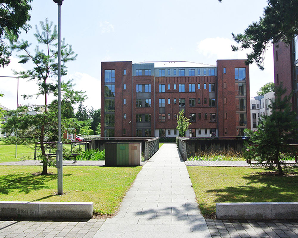 vacanza-studio-irlanda-dublino-zainetto-verde-trinity-hall-campus-entrata-principale.jpg