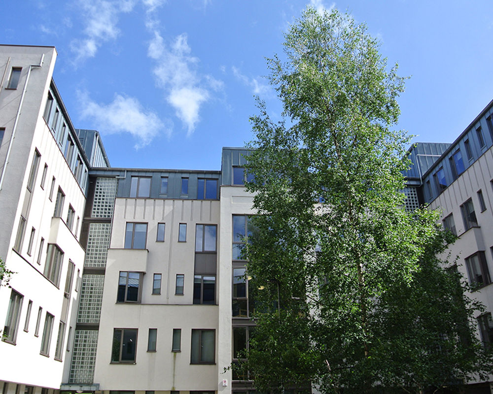 vacanza-studio-irlanda-dublino-zainetto-verde-trinity-hall-campus-parco-interno-campus.jpg