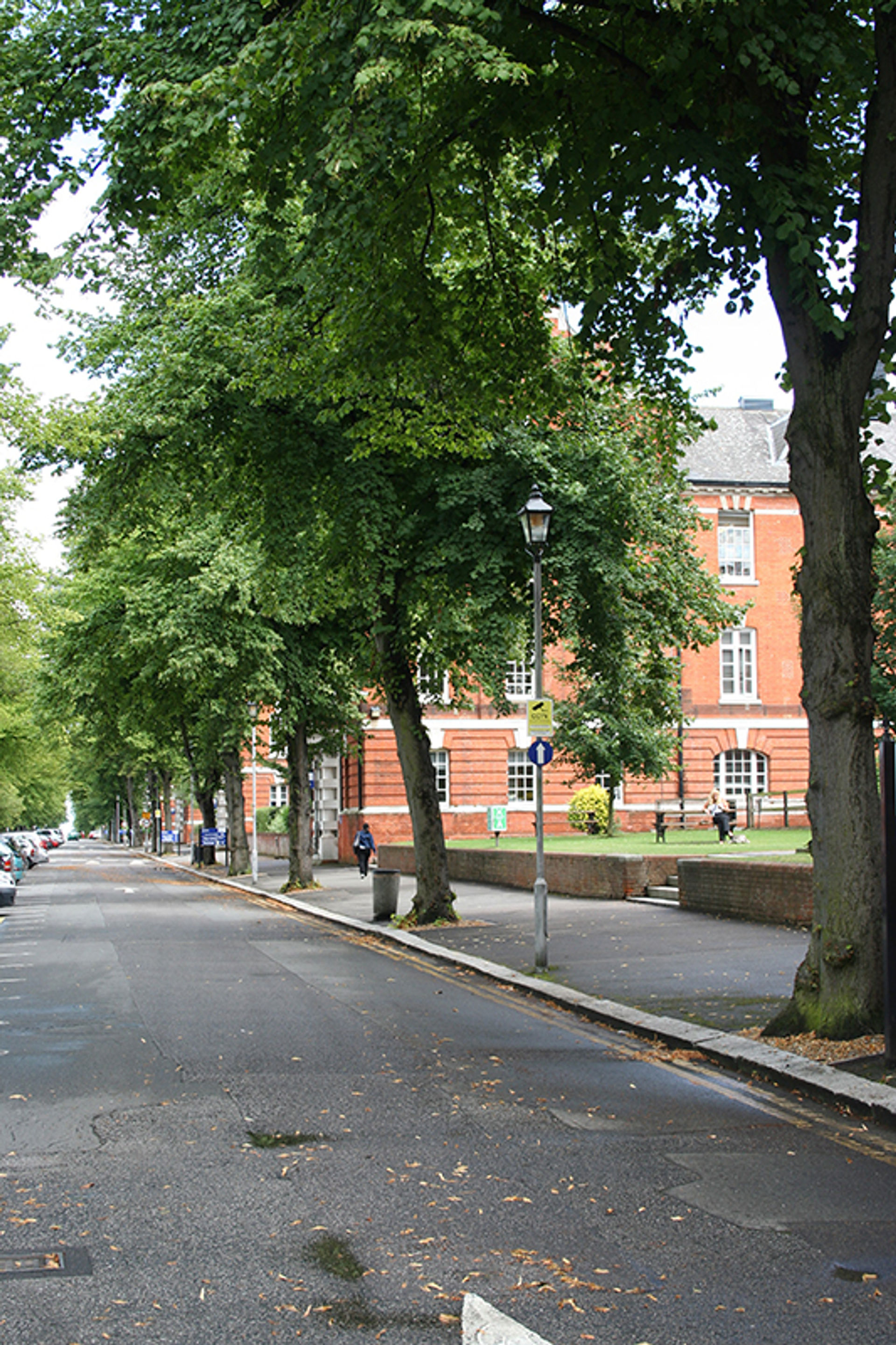 vacanza-studio-inghilterra-chatham-zainetto-verde-greenwich-university-strada.jpg
