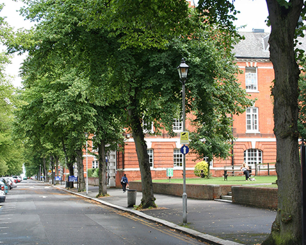 vacanza-studio-inghilterra-chatham-zainetto-verde-greenwich-university-strada.jpg
