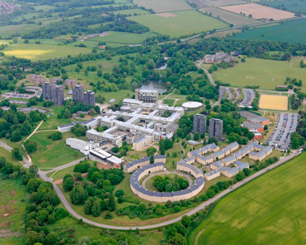 vacanza-studio-inghilterra-colchester-zainetto-verde-university-of-essex-campus.jpg