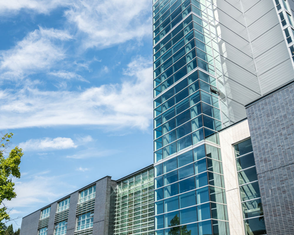 vacanza-studio-canada-vancouver-zainetto-verde-esterno-university-of-british-columbia.jpg
