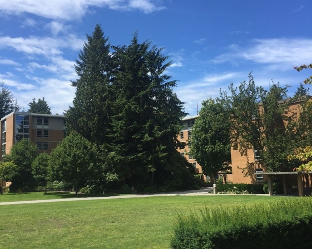 vacanza-studio-canada-vancouver-zainetto-verde-parco-campus.jpg