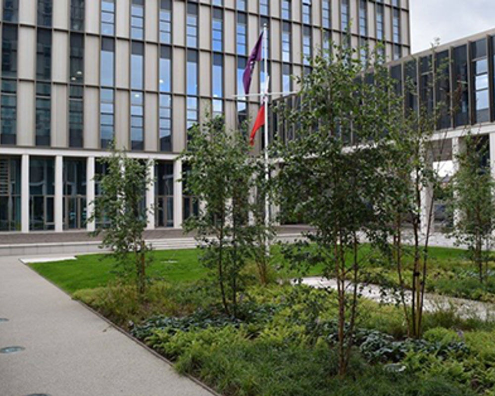 vacanza-studio-scozia-glasgow-zainetto-verde-city-of-glasgow-college-parco-interno.jpg