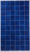 Amerisolar AS-6P30 285W Black Frame
