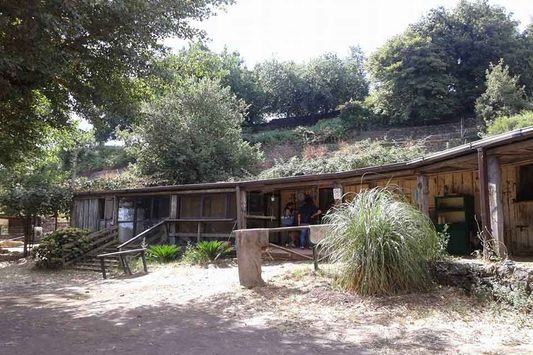 Sicilian Farm & Nature - Milo