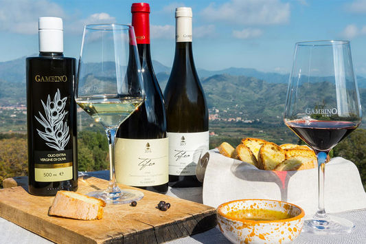 Wine Tasting Experience