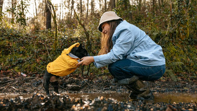A woman in a light blue jacket and rain boots crouches by a muddy puddle to pet her French Bulldog wearing a yellow raincoat in a wooded forest.