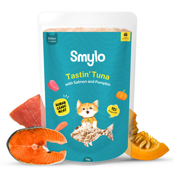Smylo Kitten Tuna Salmon, Pumpkin, Fresh & No-Preservative Wet Cat Food