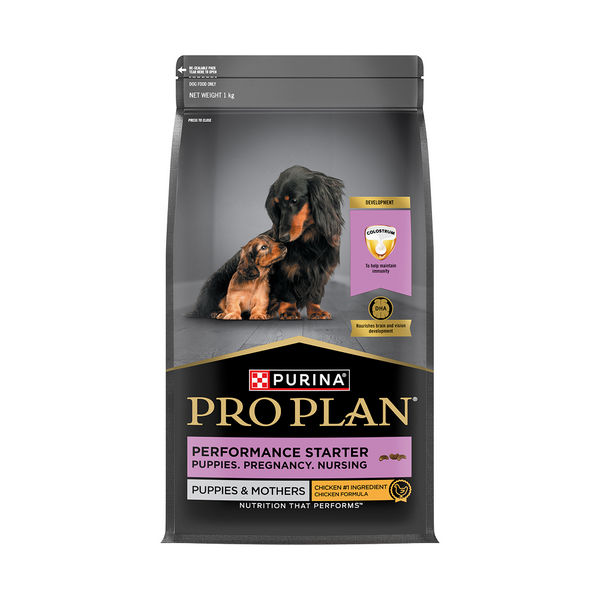 Pro Plan Chicken Mother and Puppy Starter Dog Dry Food (New Improved Formula)