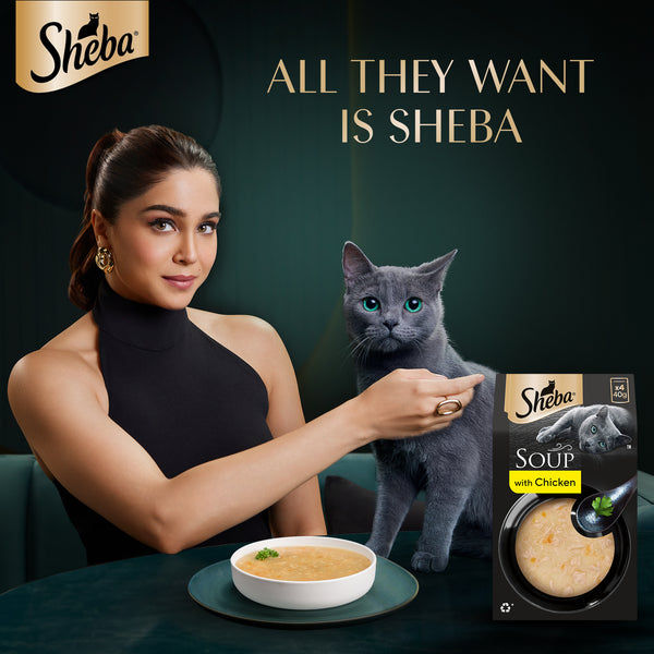 Sheba Soup with Chicken Adult Cat Wet Food