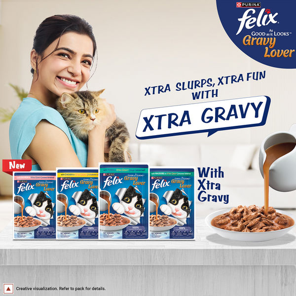 Purina Felix Gravy Lover Salmon Chunks Adult Complete and Balanced Cat Wet Food