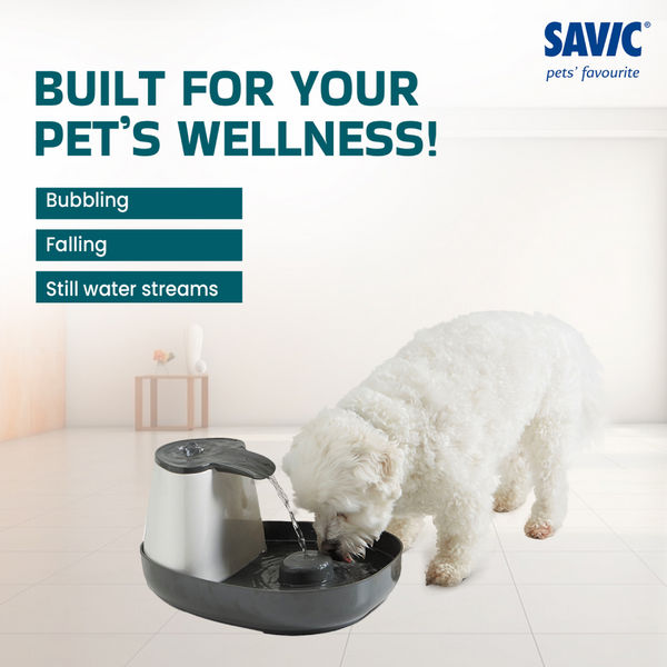 Savic Cascade Anthracite Water Fountain for Cats (Grey)
