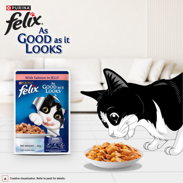 Purina Felix with Salmon in Jelly Adult Complete and Balanced Cat Wet Food