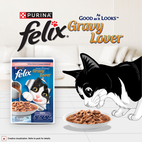 Purina Felix Gravy Lover Salmon Chunks Adult Complete and Balanced Cat Wet Food
